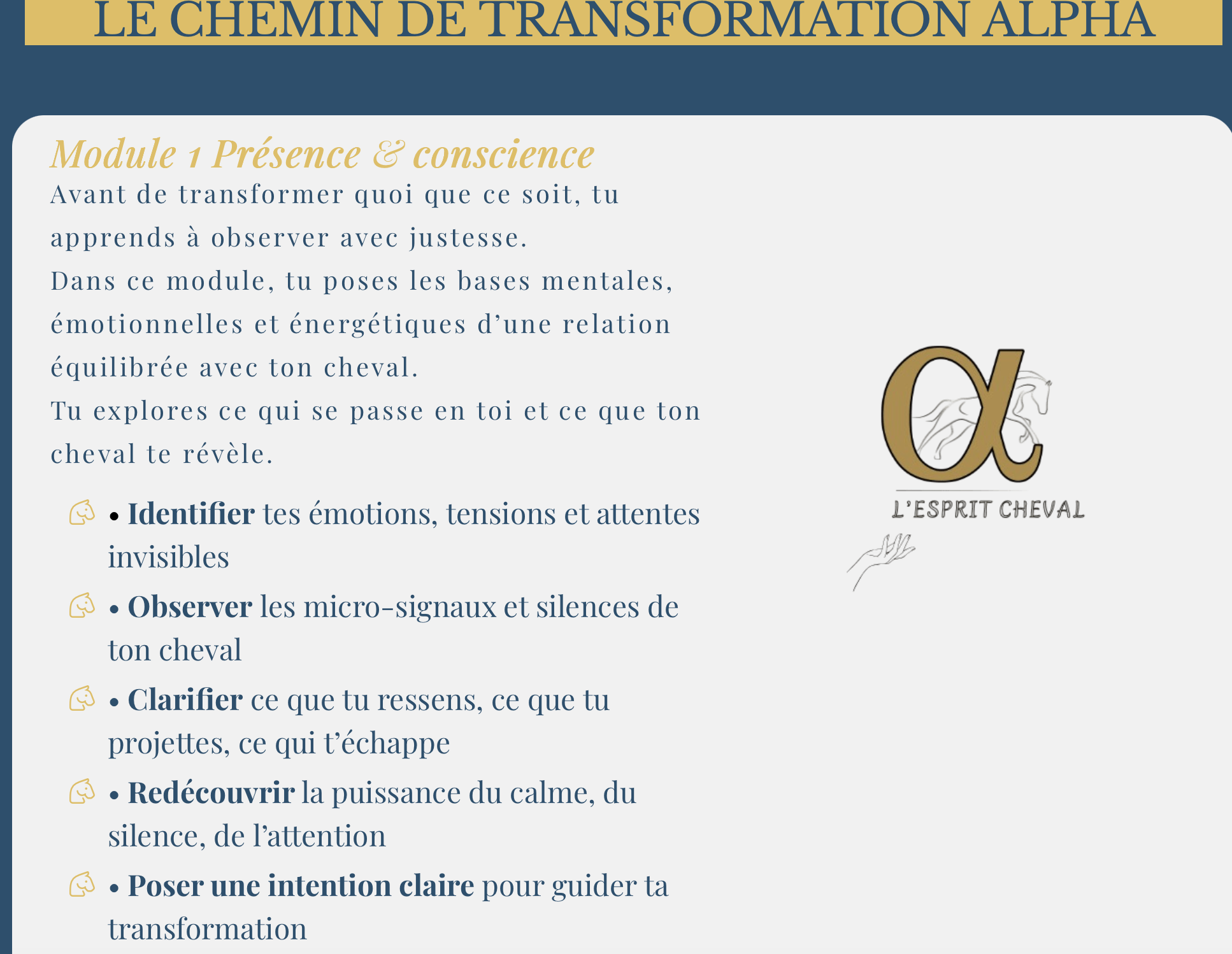 Module 1 Présence et conscience